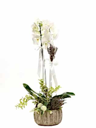 Dekoratif Saksıda Tek Dallı Beyaz Orkide
