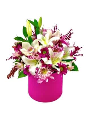 Pink Gift - Lilyum ve Orkideler