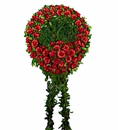 Kırmızı Gerbera Cenaze Çelengi